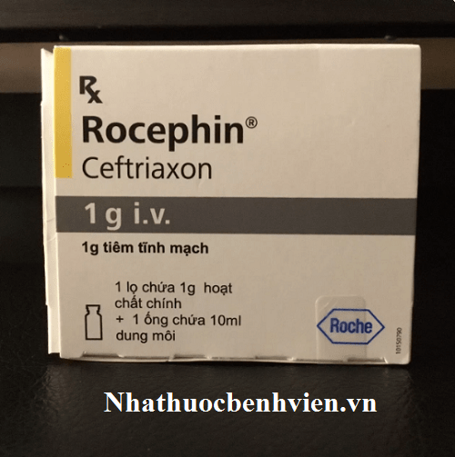 Thuốc Rocephin 1g