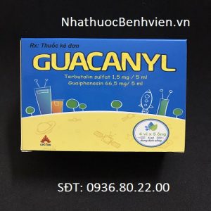 Thuốc Guacanyl - Dung dịch uống