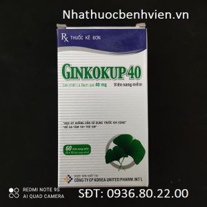Thuốc Ginkokup 40 MG
