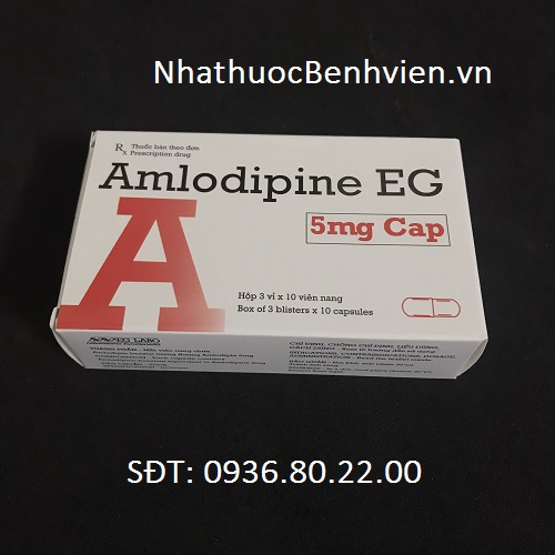 Thuốc Amlodipine EG 5mg Cap