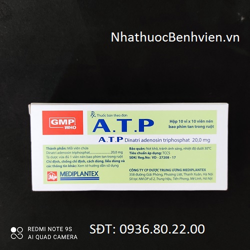 Thuốc ATP - Hỗ trợ điều trị chứng đau Lưng