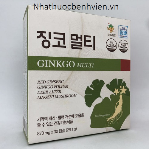 Thực phẩm bảo vệ sức khỏe Ginkgo Multi