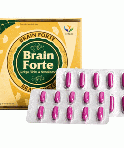 Thực phẩm bảo vệ sức khỏe Brain Forte Glod H100v
