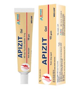 Thuốc Apizit Gel 15g