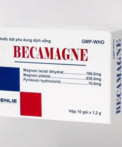 Thuốc Bột pha Becamagne
