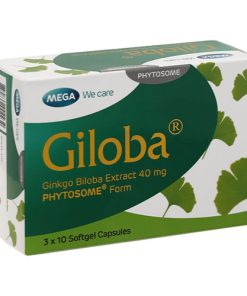 Thuốc Giloba 40mg