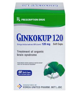 Thuốc Ginkokup 120mg