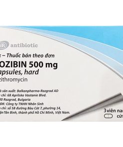 Thuoc Lozibin 500mg H3v