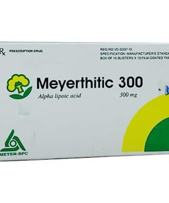 Thuoc Meyerthitic 300 Mg H100v