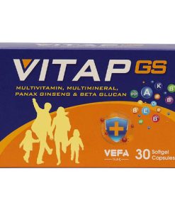 Thực phẩm bảo vệ sức khỏe Vitap GS
