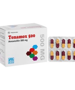 Thuốc Tenamox 500mg 2